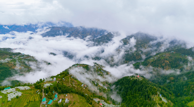 A Guide to Choose Shimla’s Best Hotel with Hilltop Views