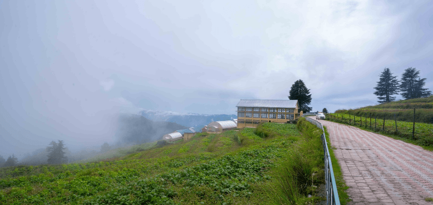 Delhi to Kufri Road Trip: Route, Stops, and Travel Tips