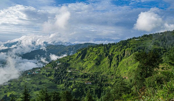 Fagu Valley: A Hidden Gem Near Kufri, Shimla