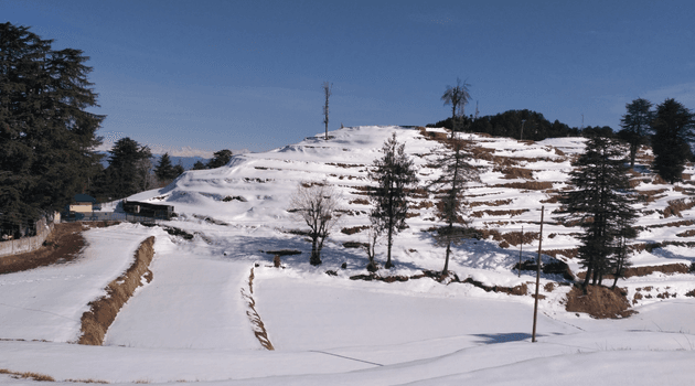 Things to do in Kufri during winter