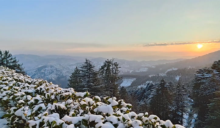 Mashobra-winter-view