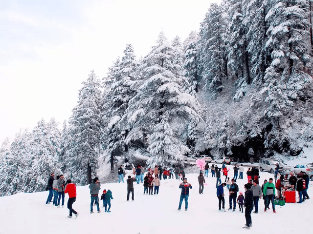 snowfall-in-kufri